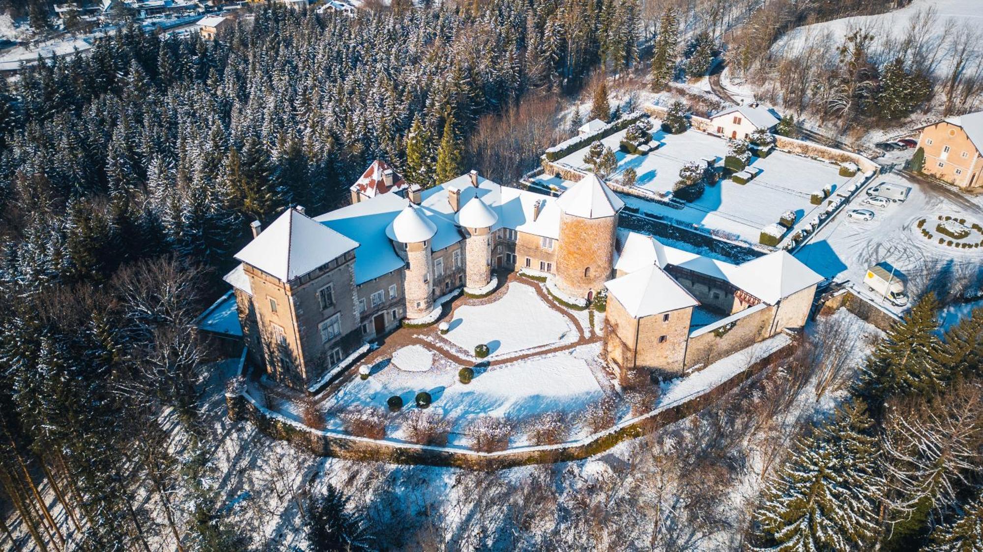 Chateau De Thorens Bagian luar foto
