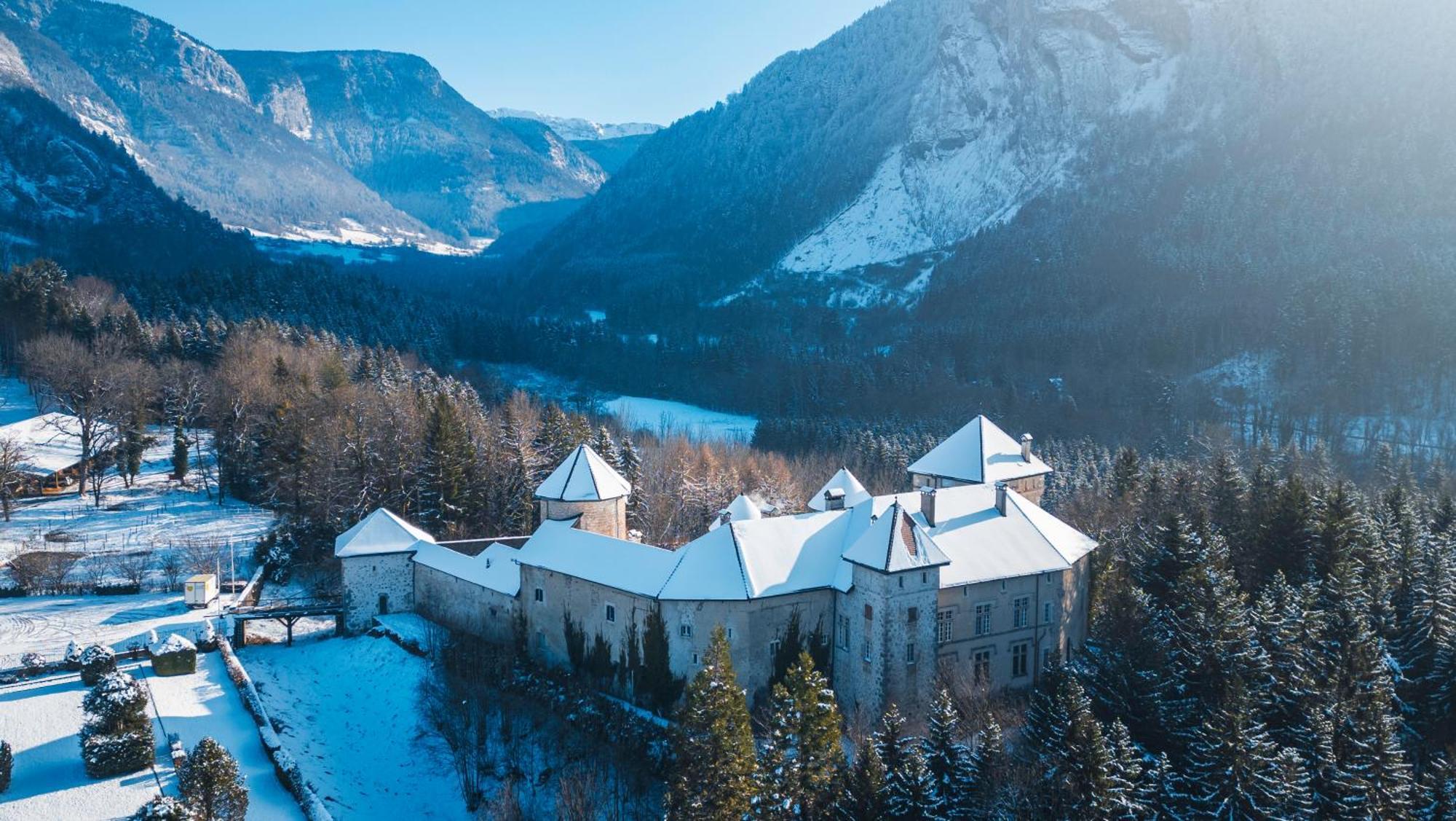 Chateau De Thorens Bagian luar foto