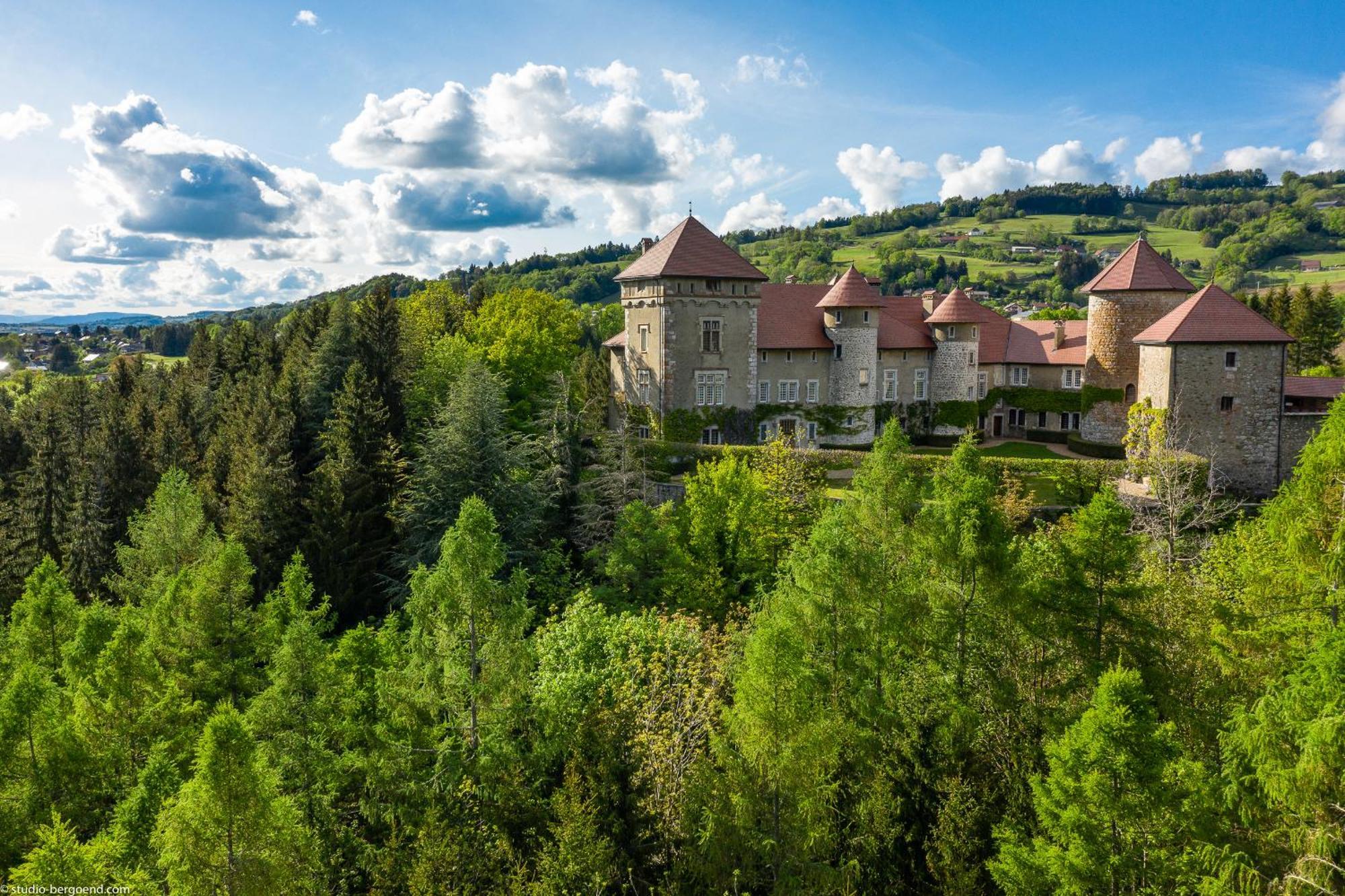 Chateau De Thorens Bagian luar foto