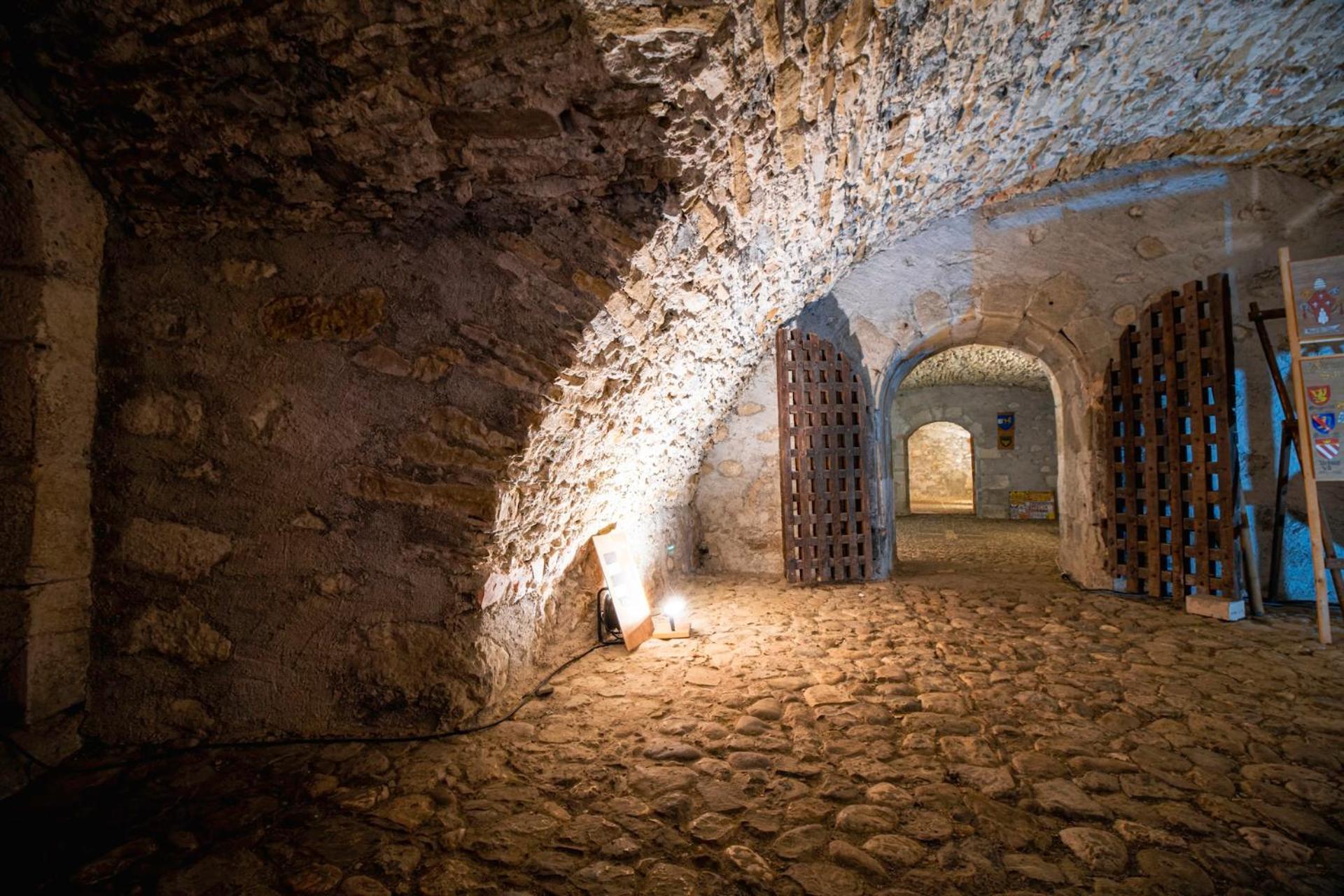 Chateau De Thorens Bagian luar foto