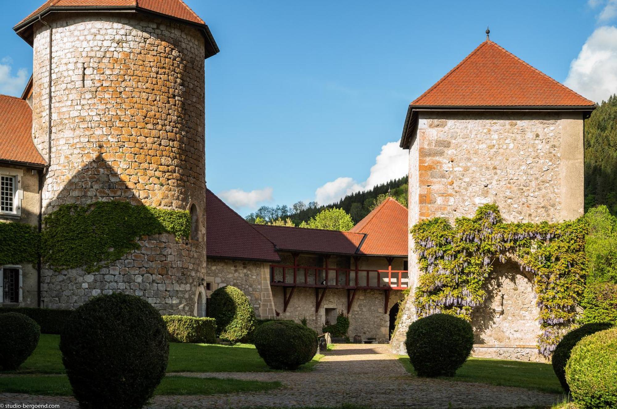 Chateau De Thorens Bagian luar foto
